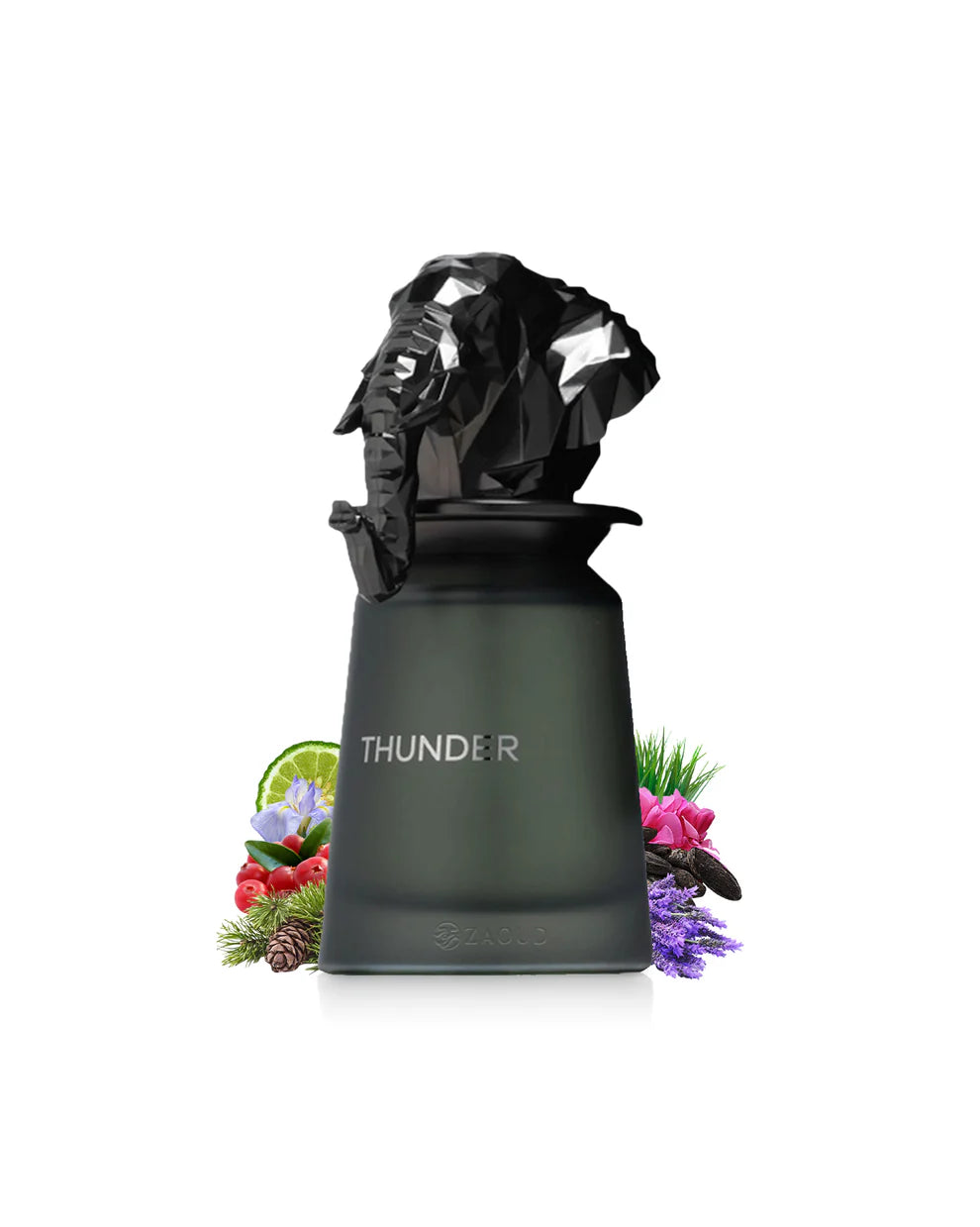 Perfume - THUNDER by French Avenue - Homem 100ml